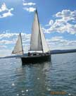1987 Nimble 20 sailboat
