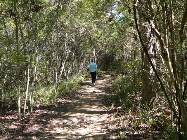 hiking trail at Lake Somerville State Park
