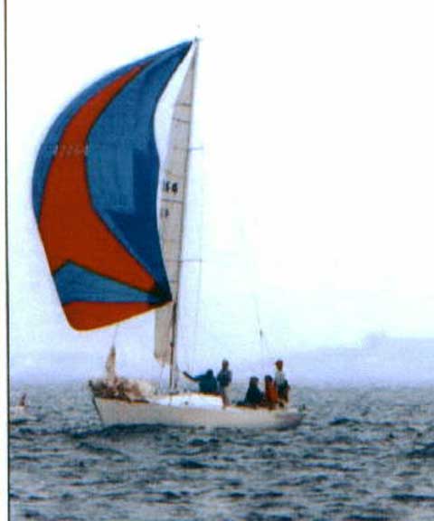 Andrews 26
