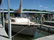 1981 Dolphin 22 sailboat
