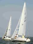 1981 J/24 sailboat