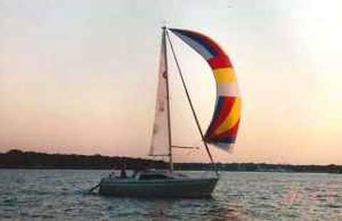 O'day 240