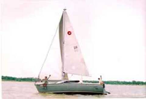 O'day 240