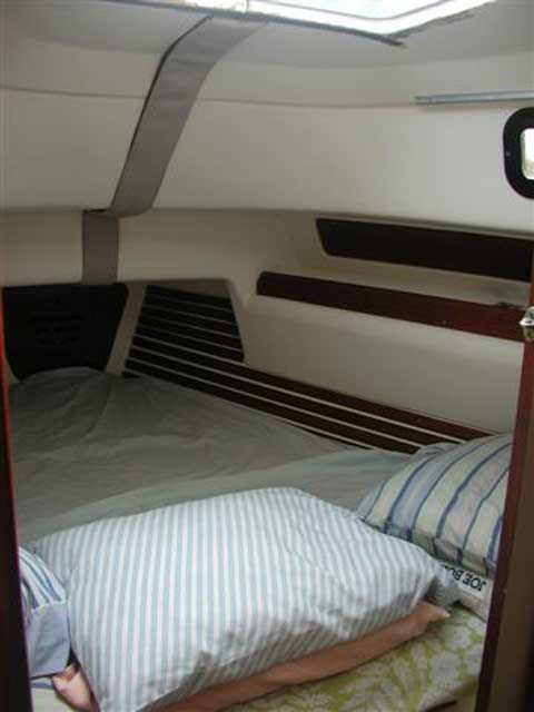 Pearson 323