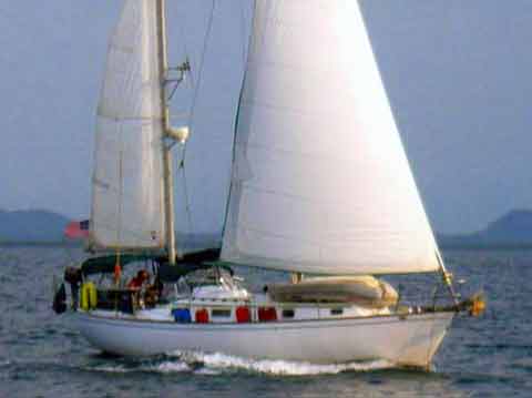 Pearson 365