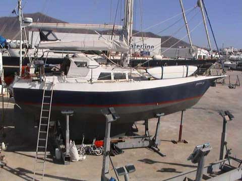 Reinke 36