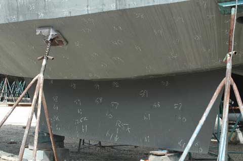 Reinke 36