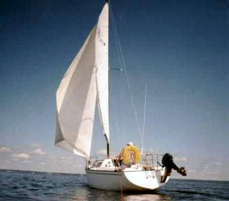 1982 S2 7.3