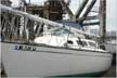 1982 S2 7.9 sailboat