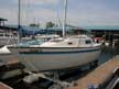 1981 San Juan 23 sailboat