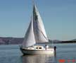 2000 West Wight Potter 19 sailboat