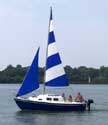 WWP 19 sailboats