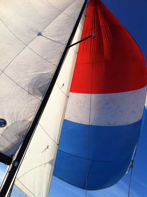 Boston Whaler Harpoon 5.2 sailboat