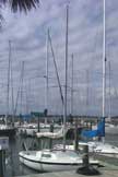 1982 Macgregor 21 sailboat