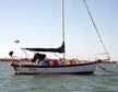 1981 Liberty 28' sailboat
