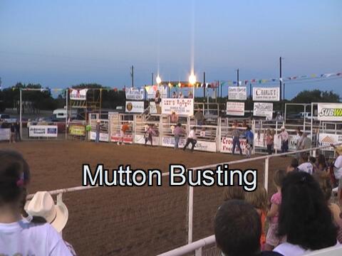 Click to see mutton busting video