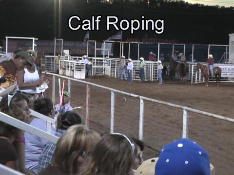 Click to see calf roping video