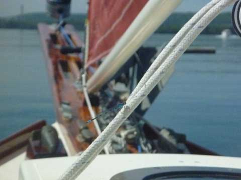 Blackwatch 24, 1981 sailboat