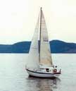 Cal 29 sailboats