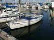 1984 Freedom 21 sailboat