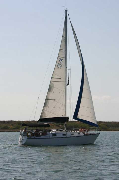 Hunter 30 Cherubini Sloop, 1981 sailboat