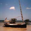 Florida Bay Marsh Hen 17 sailboats