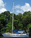 1986 Morgan 41 Classic sailboat