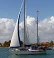 Morgan 41 sailboats