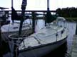 1982 Newport 28 sailboat