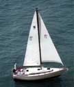 Pearson 32 sailboats