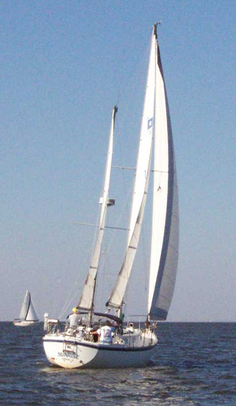 Pearson 365