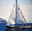 1964 Spencer Sloop 35 sailboat
