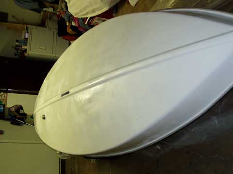 Sunfish