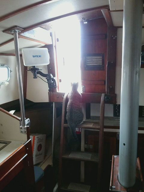 Hermann Lazy Jack 32, 1977, sailboat