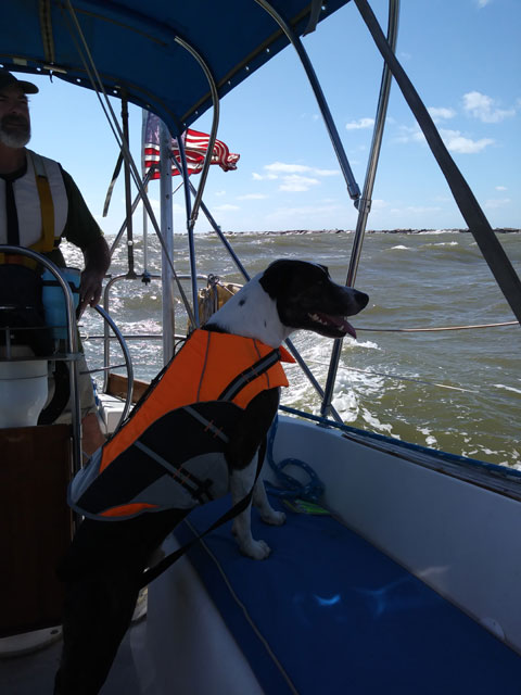 Hunter 33 Cherubini, 1982 sailboat
