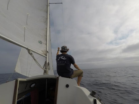 Montgomery 17, 2001 sailboat