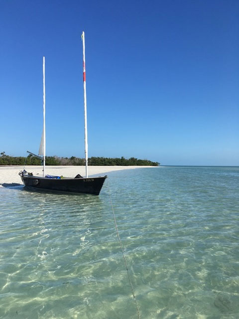 Sea Pearl 21, 1994 sailboat