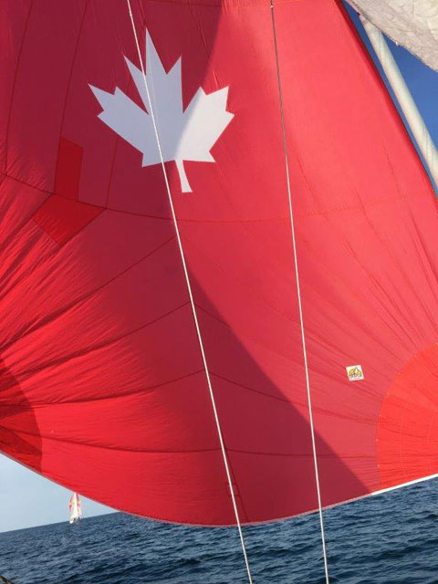 Ultimate 20, 2000 sailboat