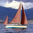 1988 Nimble 20 sailboat