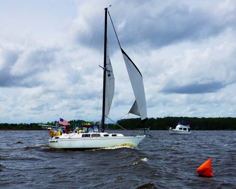 S-2 9.2C, 30ft, 1979, sailboat