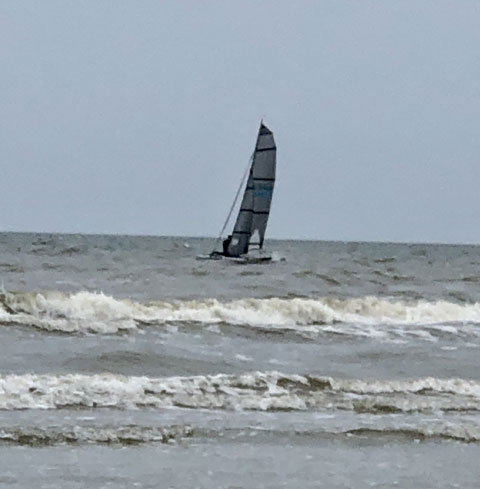 Weta Trimaran, 2018 sailboat