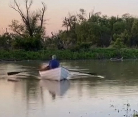 Beach pea rowboat, 2017 sailboat