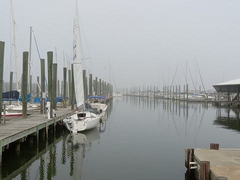 J24, 1981 sailboat
