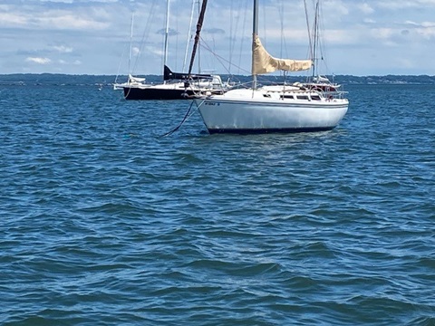Catalina 30 Tall Rig, 1984 sailboat