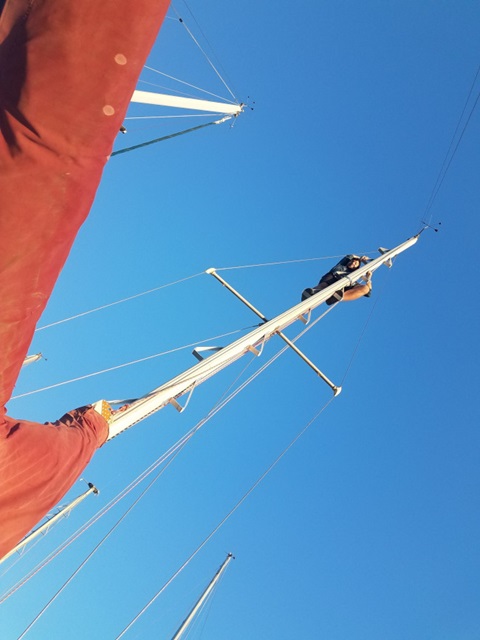 Sea Sprite 28, 1982 sailboat