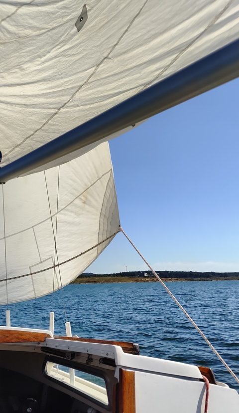Catalina 22 1982 sailboat