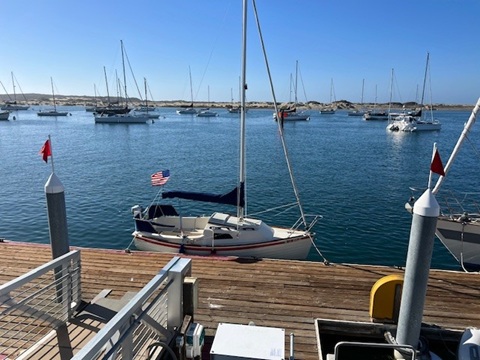 Montgomery 17, 2007 sailboat