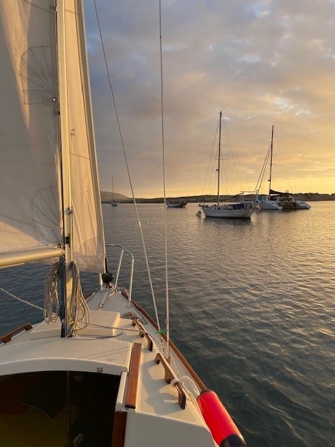 Montgomery 17, 2007 sailboat