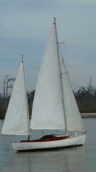 sailboats for sale mandeville la