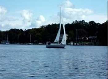 J 24, 1981 sailboat